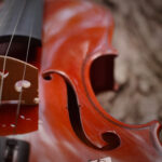 abstract portfolio website