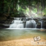 nature portfolio website 12