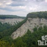 nature portfolio website 13