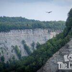 nature portfolio website 19