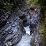 nature portfolio website 20