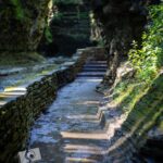 nature portfolio website 22