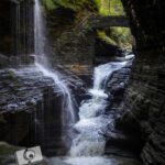 nature portfolio website 23