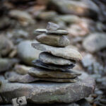 nature portfolio website 24