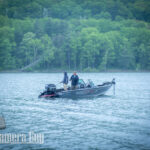 nature portfolio website 31