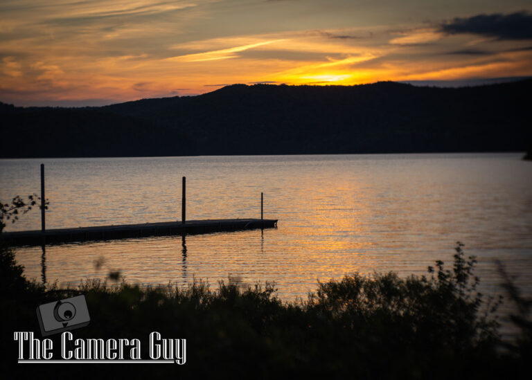 Photography nature portfolio website 32
