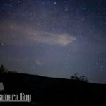 nature portfolio website 33