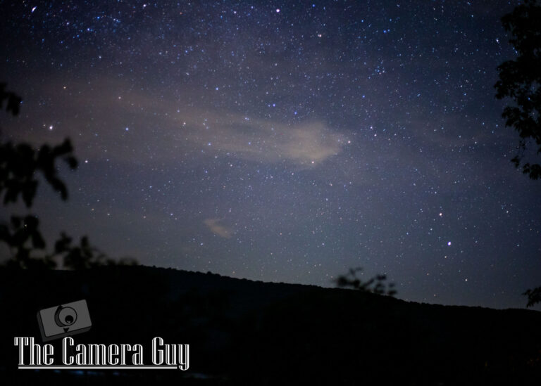 Photography nature portfolio website 33