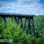 nature portfolio website 34