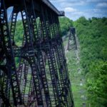 nature portfolio website 35