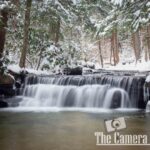 nature portfolio website 37