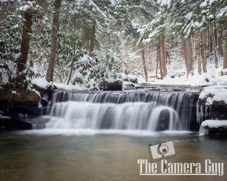 Photography nature portfolio website 37