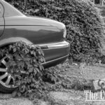 nature portfolio website 5