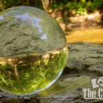 nature portfolio website 6