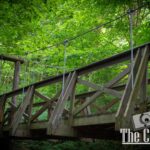 nature portfolio website 7