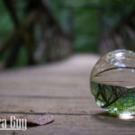 nature portfolio website 8