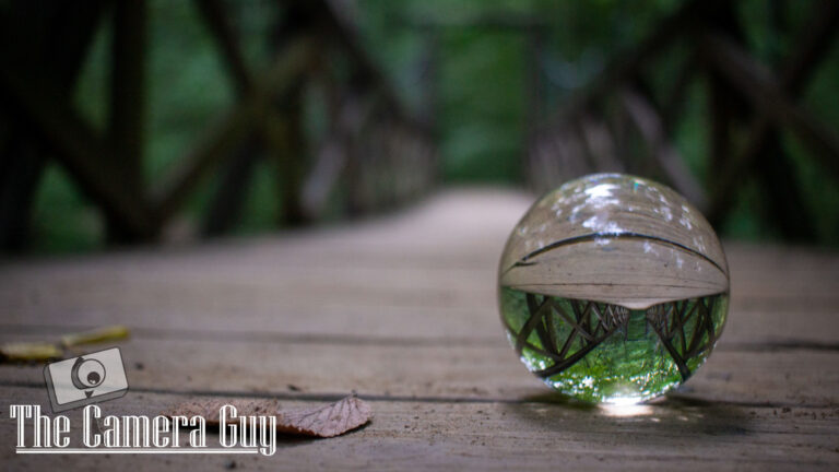 Photography nature portfolio website 8