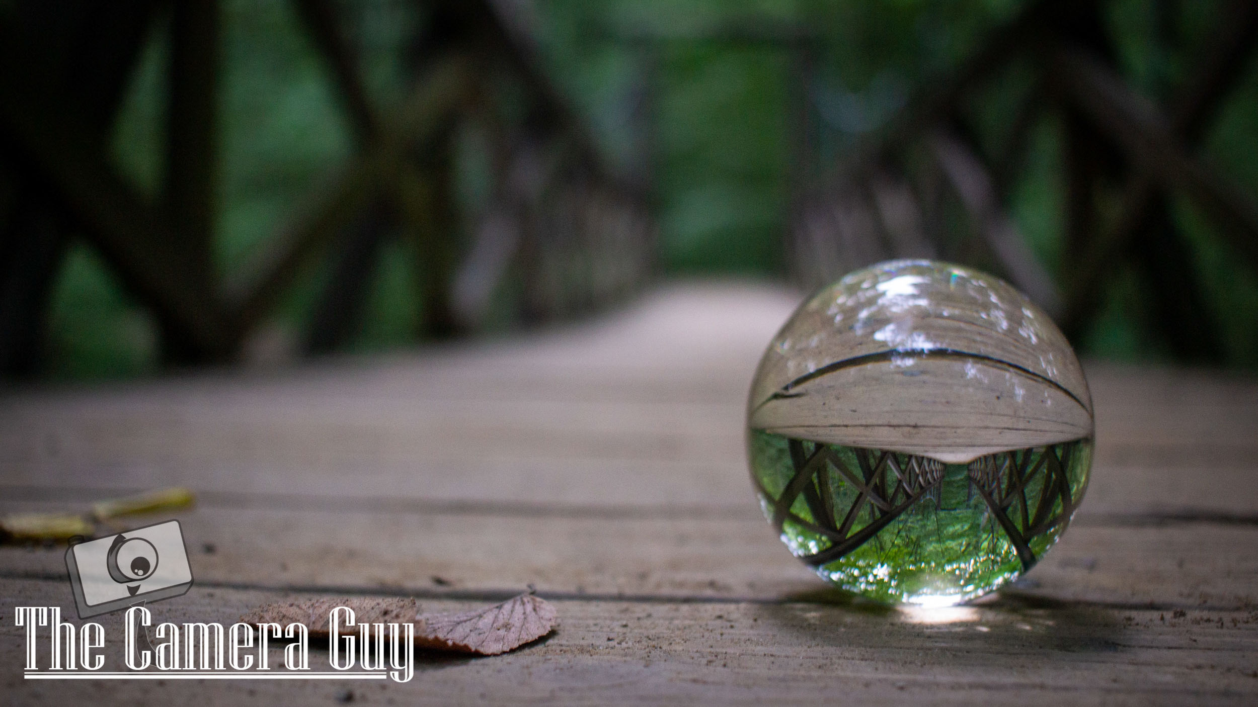 nature portfolio website 8