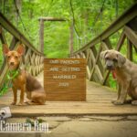 portraits portfolio website 45