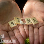 portraits portfolio website 52