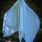 portraits portfolio website 65