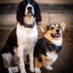 portraits portfolio website 74