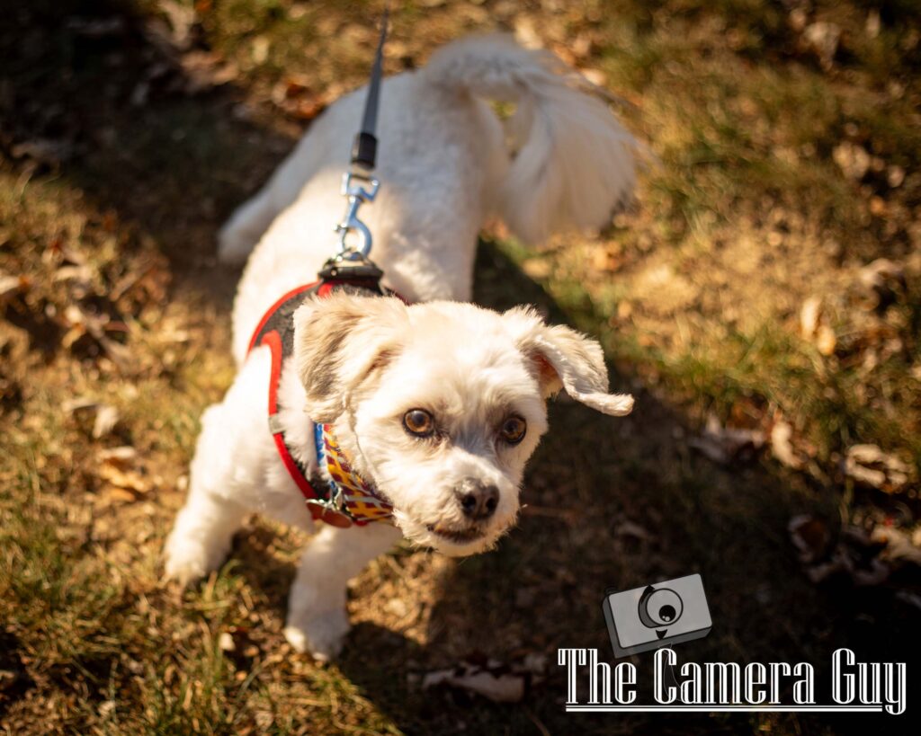 portraits portfolio website 76