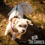 portraits portfolio website 76