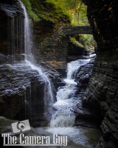 nature portfolio website 23