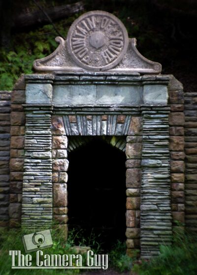 nature portfolio website 26